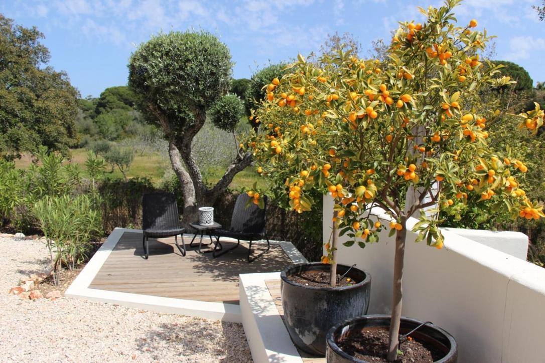 Casa Sereno ベナジル エクステリア 写真