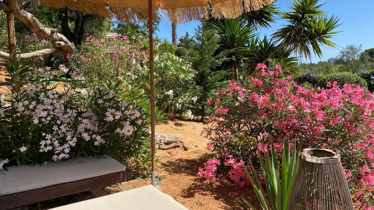 Casa Sereno ベナジル エクステリア 写真