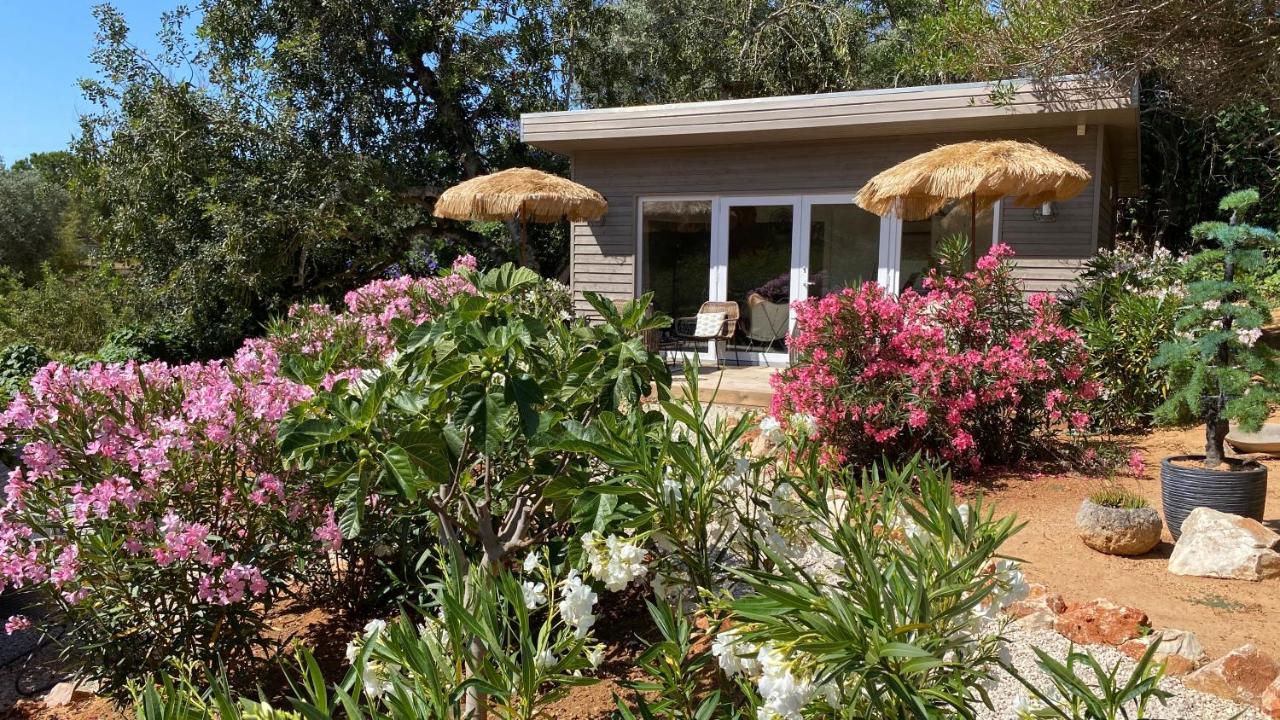 Casa Sereno ベナジル エクステリア 写真