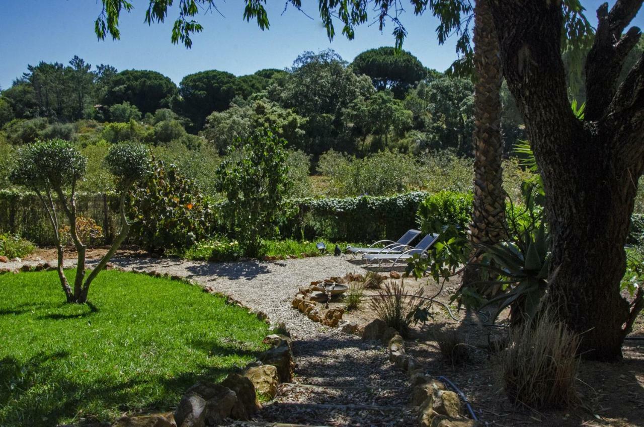 Casa Sereno ベナジル エクステリア 写真